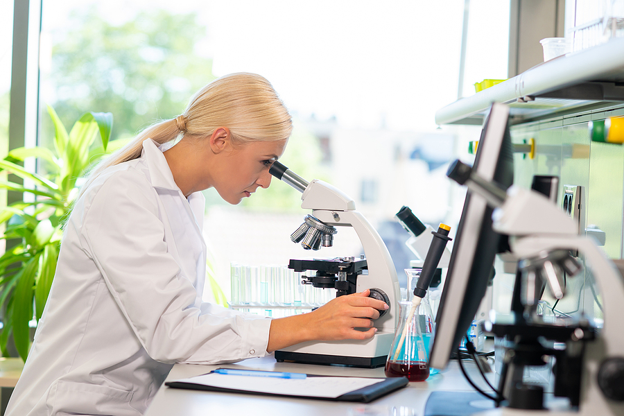 Medical Doctor Working In Research Lab. Science Assistant Making