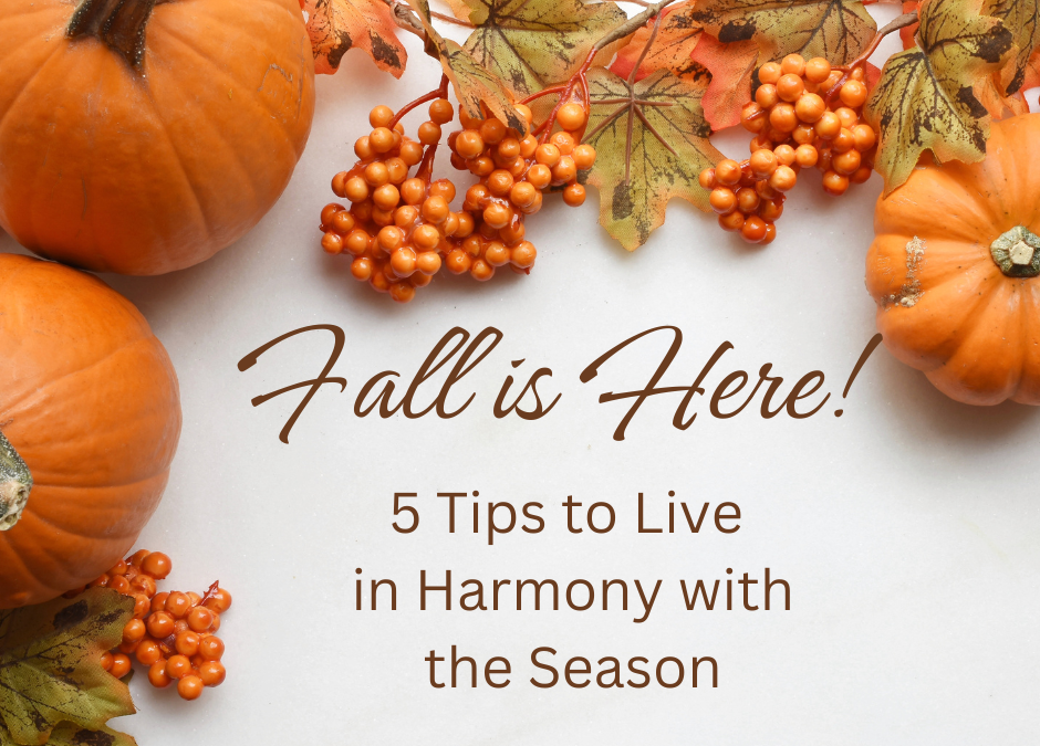 5 Seasonal Living Tips