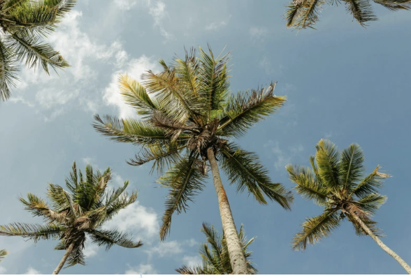 Summer Fatigue: Why You’re Still Tired When It’s Beautiful Out