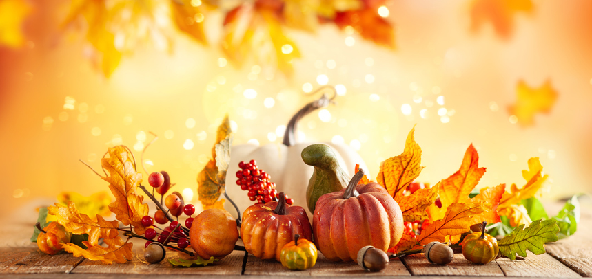 Small pumpkins, a white pumpkin, gourds, red berries, acorns, and golden autumn leaves on a rustic wooden table, celebrating a fall self-care routine